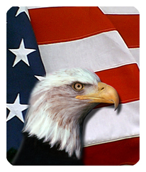 256 DF35-410 With Love and Honor